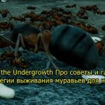 Empires of the Undergrowth Про советы и гайд по игре в стратегии выживания муравьев для новичков