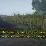Medieval Dynasty где Солома или самое хорошее место где находится Соломы