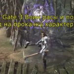 Baldur Gate 3 Воин расы и подклассы Гайд на прокачку характеристик